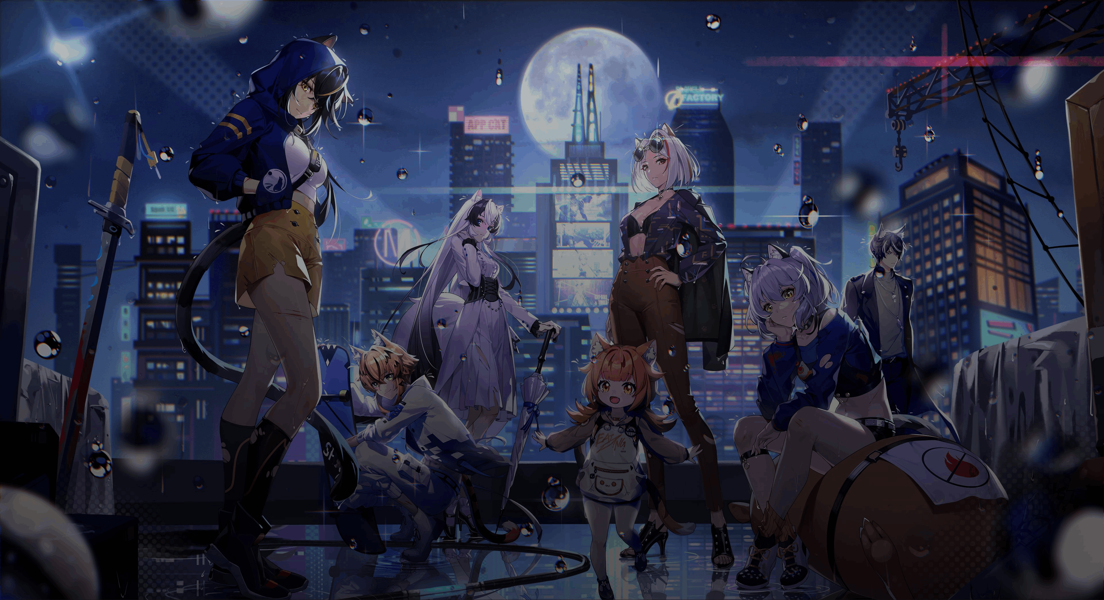 Cat Fantasy